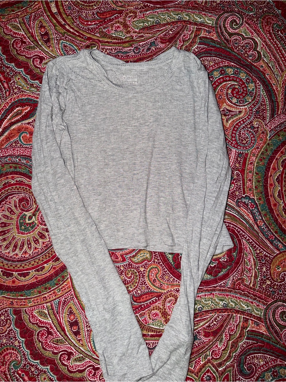 Aerie Light Gray Ribbed Long-Sleeve Crop Top